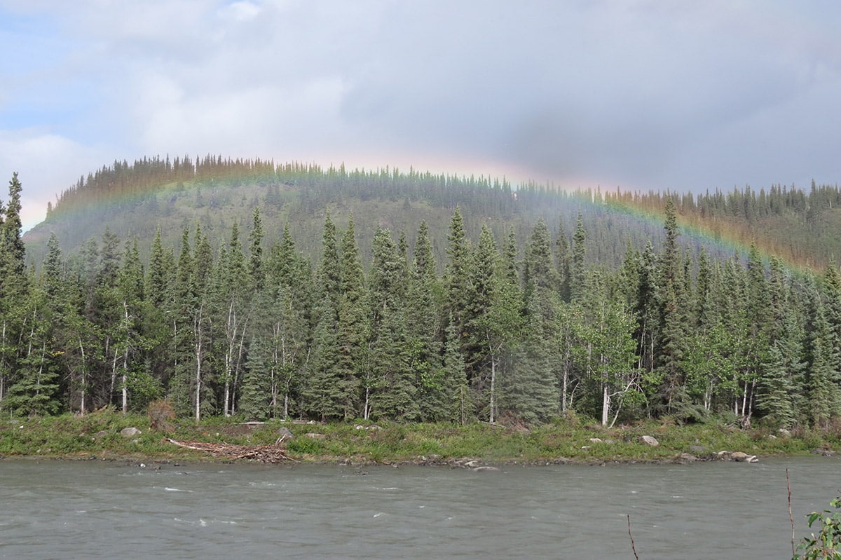 1989 – Formation of DEC in Denali, Alaska