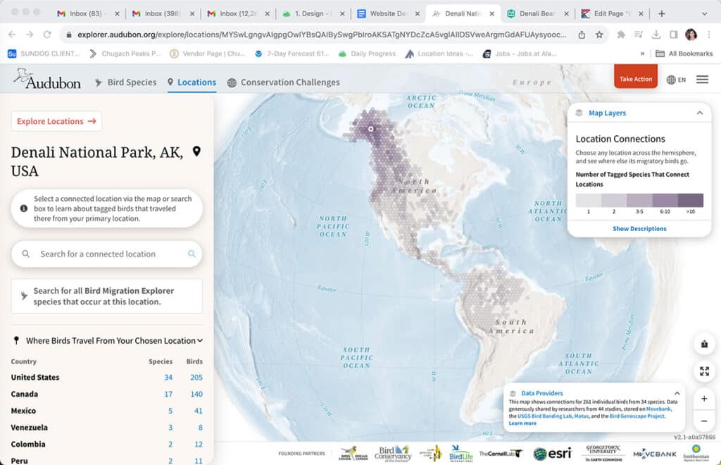 Bird Migration Explorer - Denali National Park