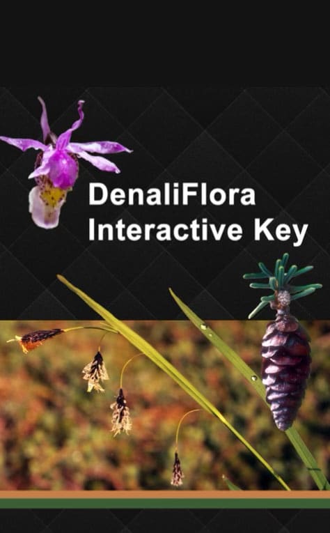DenaliFlora Interactive Key screenshot